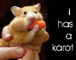 hamster med morot