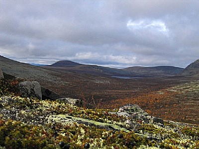 Bild av a10705