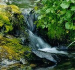 Bild av a10705