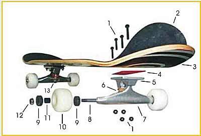 skate board