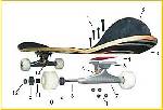 skate board