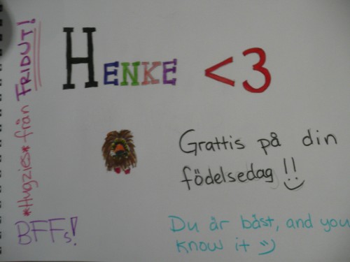 Bild av Ninjagris