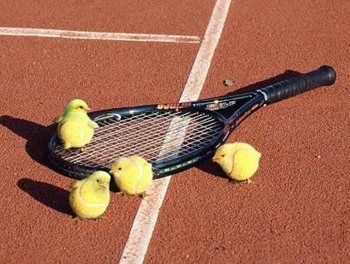 Bild av tennisemil