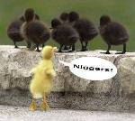 Bild av arllox