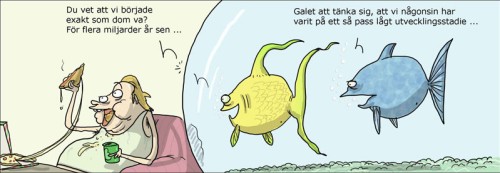 punkt