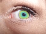 Bild av soffoo