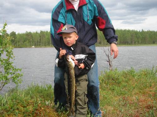 Bild av rasslle