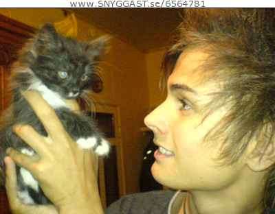 Jag:D Me Katten Tossan:D