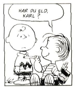 Bild av punkrocker