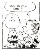 Bild av punkrocker