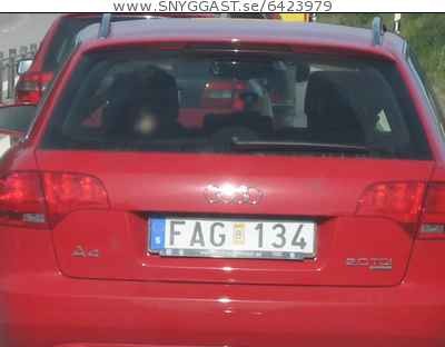 Fin ^^