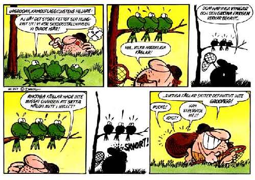 Herman och grodfåglarna.