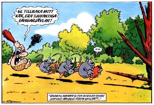Det första grillspettet