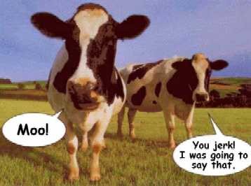haha