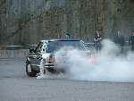 Bild av volvorebel