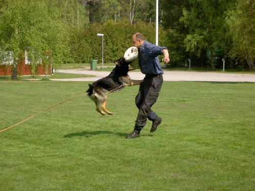 skydds träning med RKP =D