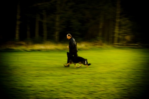 Hunden igen