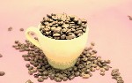 kaffe kopp
