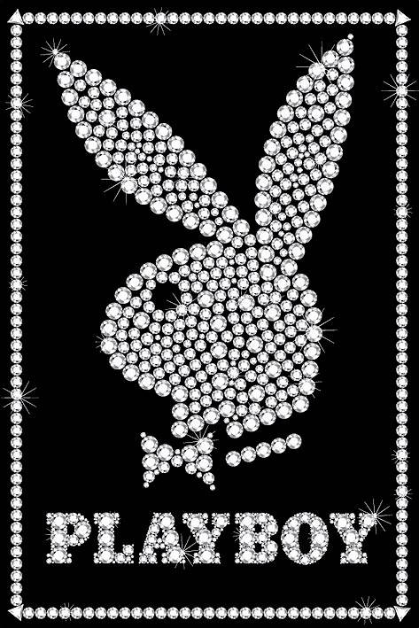 playboys in amerika they are hot