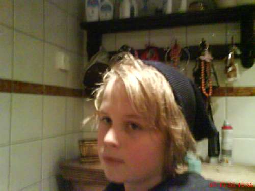 Bild av kurtlover