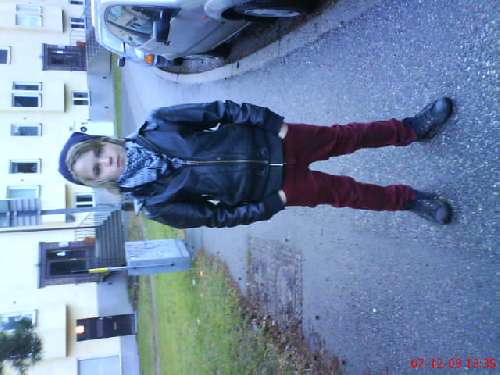 Bild av kurtlover