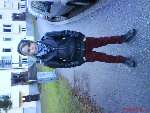 Bild av kurtlover