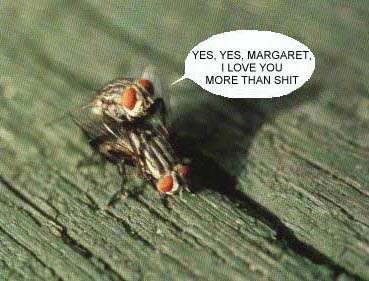eeeehh... LMAO!!!