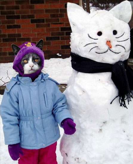 cool en katt av snö och en va!? en kattmänniska!?