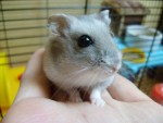 R.i.p. Molly 5/1-09