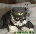 Bat dog!