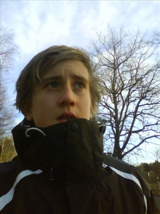 Bild av Haaga