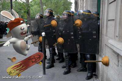 hippe rabbid