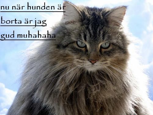 muhahaha