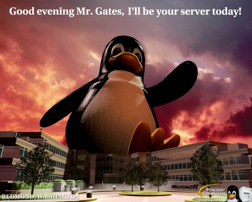 bill gates is fuckt