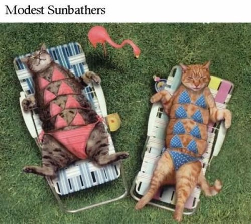 chilla mera