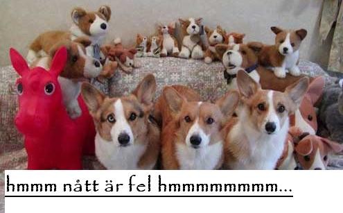 hmmm nått är fel