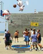basket med rabbids