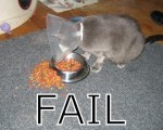 hård diet