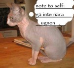ugnar är farlig
