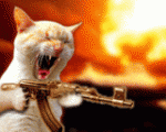 die madafucker
die madafucker
dieeeee
die madafucker
die madafucker
dieeeee