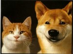 eeee hehehehe