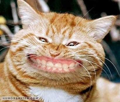 SMILE
