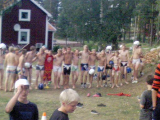 Bild av palmus