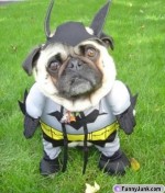 Civil - Oh Batman here!!! Batman - sorry i cant now!
Civil - But you are a super hero!
Batman- Not longer ^^