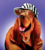 Ohye i'm snoopdogs dog :) i like hash crack and Marujana.