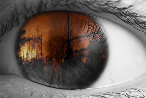 Do you see the Fire?