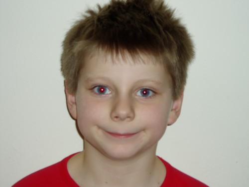 Bild av ludde99