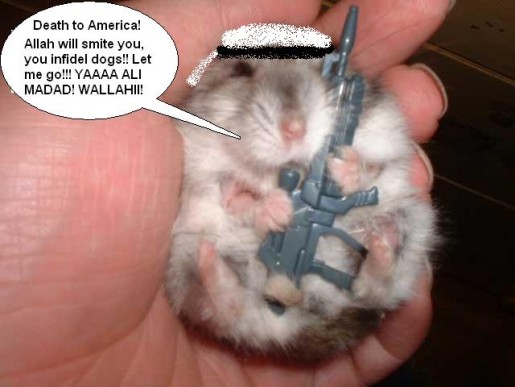 Bild av xpwnegex