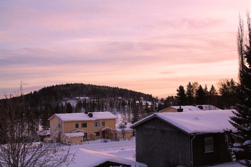 Bild av maximillian3