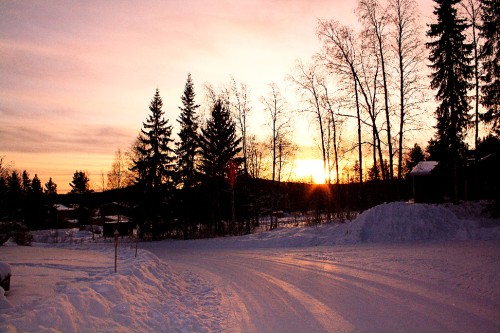 Bild av maximillian3